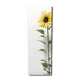 Infrapanel Ecosun 500 GS WIFI (mirror) - zrcadlo