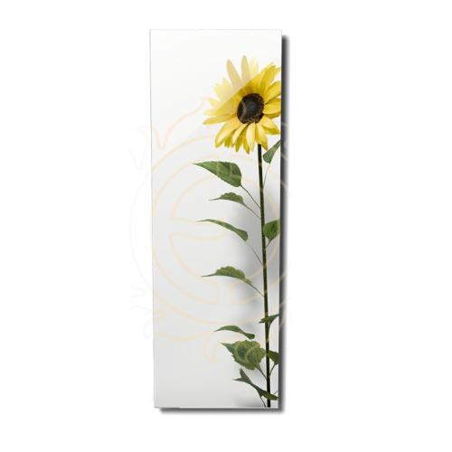 Infrapanel Ecosun 500 GS WIFI (mirror) - zrcadlo