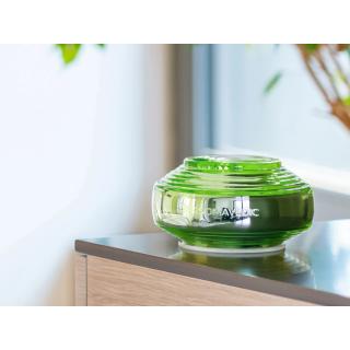 Somavedic Vedic obr.3