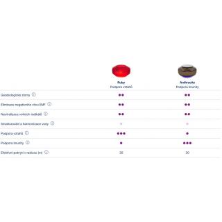 Somavedic Vedic obr.10